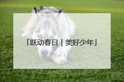 跃动春日｜美好少年