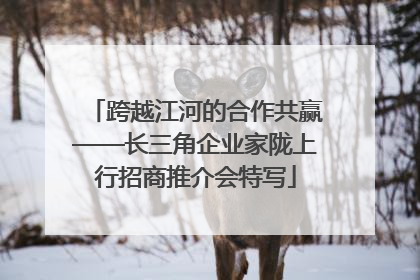 跨越江河的合作共赢——长三角企业家陇上行招商推介会特写