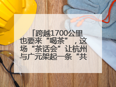 跨越1700公里也要来“喝茶”，这场“茶话会”让杭州与广元架起一条“共富之路”