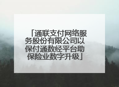 通联支付网络服务股份有限公司以保付通数经平台助保险业数字升级