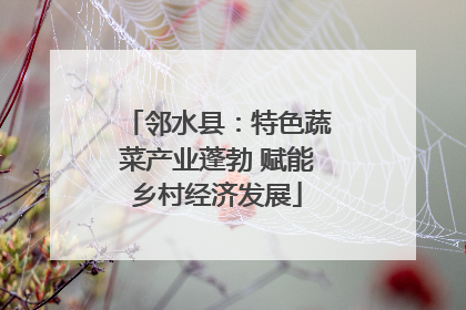 邻水县：特色蔬菜产业蓬勃 赋能乡村经济发展