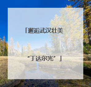 邂逅武汉壮美“丁达尔光”