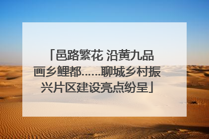 邑路繁花 沿黄九品 画乡鲤都……聊城乡村振兴片区建设亮点纷呈