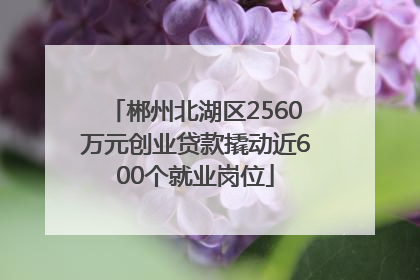 郴州北湖区2560万元创业贷款撬动近600个就业岗位