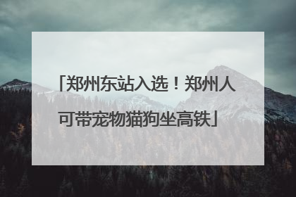 郑州东站入选！郑州人可带宠物猫狗坐高铁