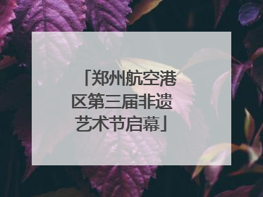 郑州航空港区第三届非遗艺术节启幕