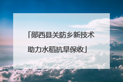 郧西县关防乡新技术助力水稻抗旱保收