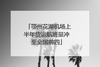 鄂州花湖机场上半年货运航班量冲至全国前四