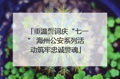 重温誓词庆“七一” 海州公安系列活动筑牢忠诚警魂