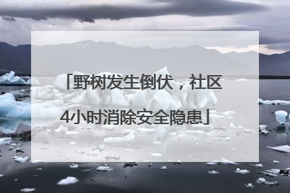 野树发生倒伏，社区4小时消除安全隐患