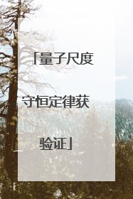 量子尺度守恒定律获验证