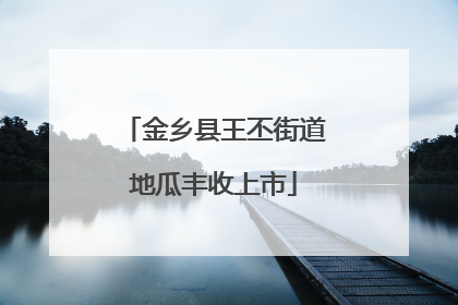 金乡县王丕街道地瓜丰收上市