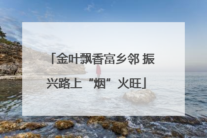 金叶飘香富乡邻 振兴路上“烟”火旺