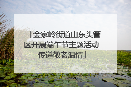 金家岭街道山东头管区开展端午节主题活动 传递敬老温情