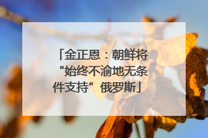 金正恩：朝鲜将“始终不渝地无条件支持”俄罗斯