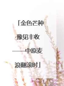 金色芒种·豫见丰收——中原麦浪翻滚时