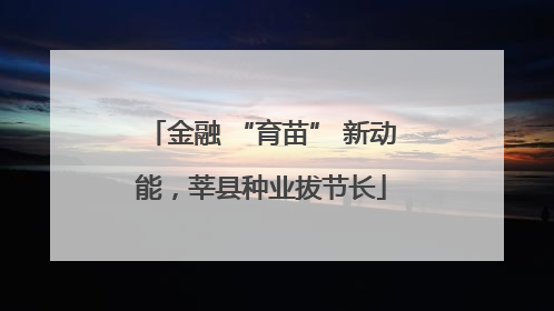 金融 “育苗” 新动能，莘县种业拔节长
