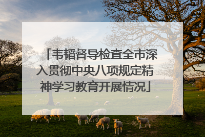韦韬督导检查全市深入贯彻中央八项规定精神学习教育开展情况