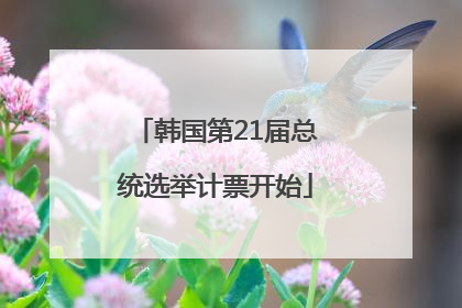 韩国第21届总统选举计票开始