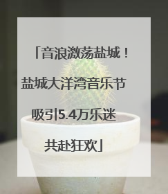 音浪激荡盐城！盐城大洋湾音乐节吸引5.4万乐迷共赴狂欢