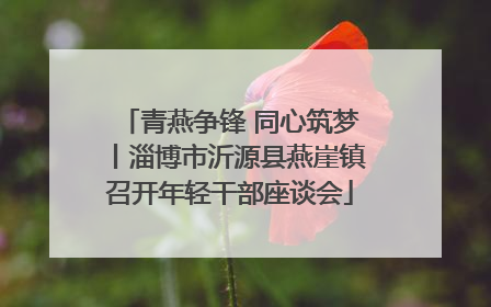 青燕争锋 同心筑梦丨淄博市沂源县燕崖镇召开年轻干部座谈会