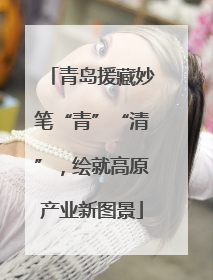 青岛援藏妙笔“青”“清”，绘就高原产业新图景