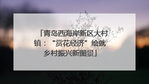 青岛西海岸新区大村镇：“赏花经济”绘就乡村振兴新图景