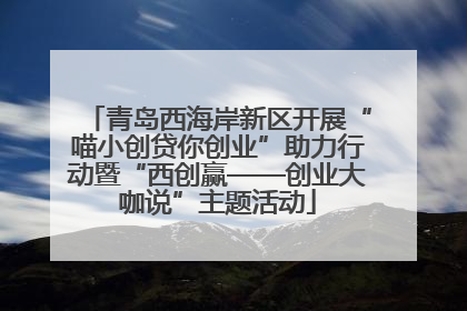 青岛西海岸新区开展“喵小创贷你创业”助力行动暨“西创赢——创业大咖说”主题活动