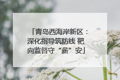 青岛西海岸新区：深化指导筑防线 靶向监督守“薪”安