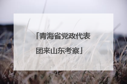青海省党政代表团来山东考察
