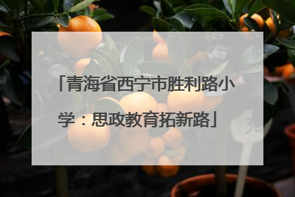 青海省西宁市胜利路小学：思政教育拓新路