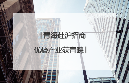 青海赴沪招商 优势产业获青睐