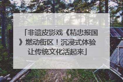 非遗皮影戏《精忠报国》燃动街区！沉浸式体验让传统文化活起来