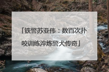 铁警苏亚伟：数百次扑咬训练淬炼警犬传奇