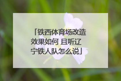 铁西体育场改造效果如何 且听辽宁铁人队怎么说