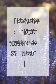 铁路时评：“铁龙”驰骋解码经济“脉动”