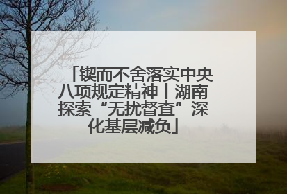 锲而不舍落实中央八项规定精神丨湖南探索“无扰督查”深化基层减负