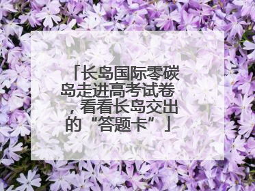 长岛国际零碳岛走进高考试卷，看看长岛交出的“答题卡”