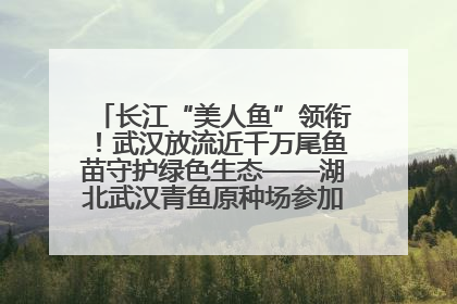 长江“美人鱼”领衔！武汉放流近千万尾鱼苗守护绿色生态——湖北武汉青鱼原种场参加2025年“全国放鱼日”增殖放流活动