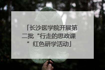 长沙医学院开展第二批“行走的思政课”红色研学活动