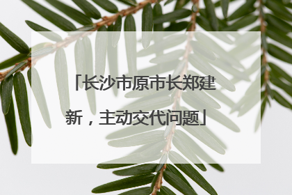 长沙市原市长郑建新，主动交代问题