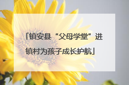 镇安县“父母学堂”进镇村为孩子成长护航