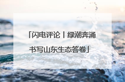 闪电评论丨绿潮奔涌 书写山东生态答卷