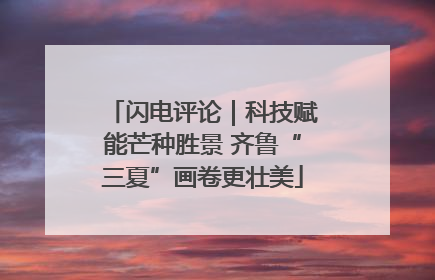 闪电评论｜科技赋能芒种胜景 齐鲁“三夏”画卷更壮美