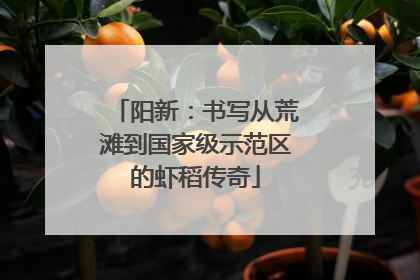 阳新：书写从荒滩到国家级示范区的虾稻传奇