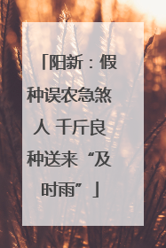 阳新：假种误农急煞人 千斤良种送来“及时雨”