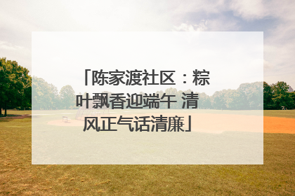 陈家渡社区：粽叶飘香迎端午 清风正气话清廉