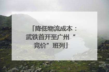 降低物流成本：武铁首开至广州“竞价”班列