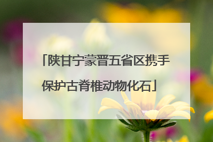 陕甘宁蒙晋五省区携手保护古脊椎动物化石
