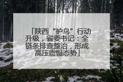 陕西“护鸟”行动升级，省委书记：全链条排查整治，形成高压震慑态势